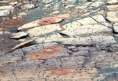 Forrás: NASA/MER