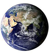 Forr�s: NASA