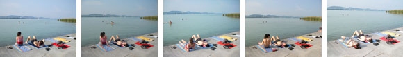 Forr�s: [origo]