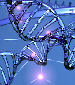 Forr�s: nanopedia.case.edu