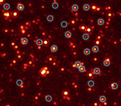 Forr�s: NASA, JPL-Caltech, E. Daddi, CEA Saclay