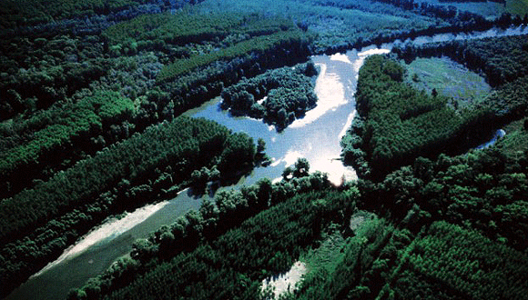 Forr�s: [origo]