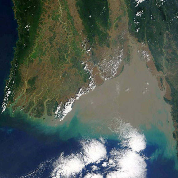 Forr�s: NASA