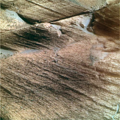 Forr�s: NASA, JPL, Caltech, Cornell University