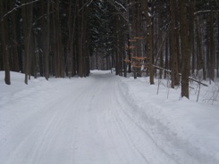 Fot�: K�nai G�bor