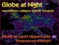 Forr�s: MCSE