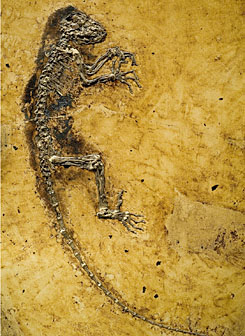 Forrás: www.plosone.org
