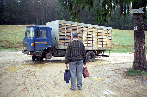 Forr�s: [origo]