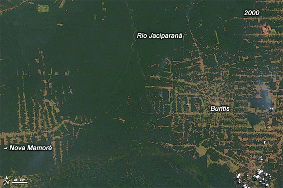 Forr�s: NASA