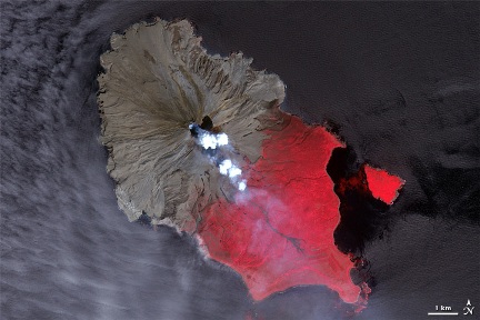 Forr�s: NASA