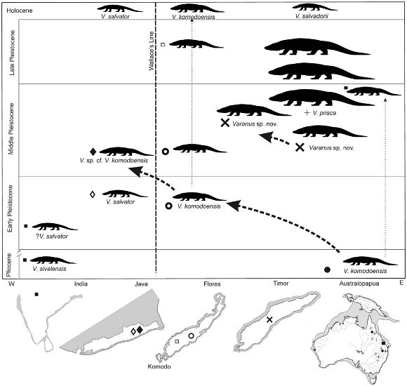Forr�s: plosone.org