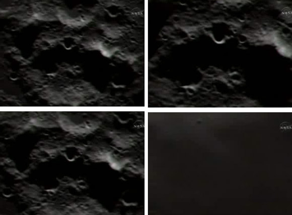 Forr�s: NASA
