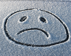 Forr�s: iStockphoto.com
