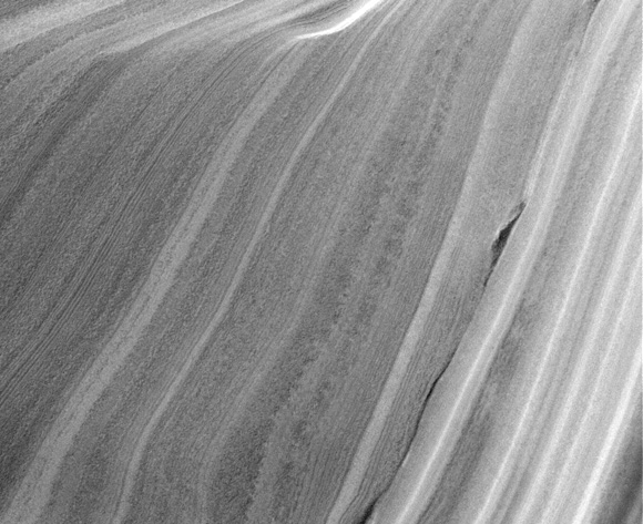 Forr�s: NASA