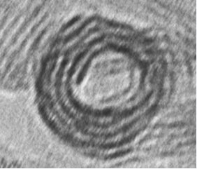 Forrás: auroscience.hu Forrás: auroscience.hu