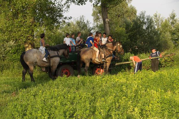 www.szalkaifarm.hu