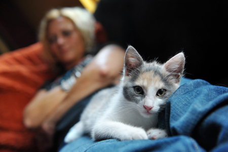 Istockphoto