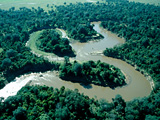 Afrika forr�sa