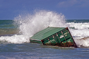 Forr�s: AFP