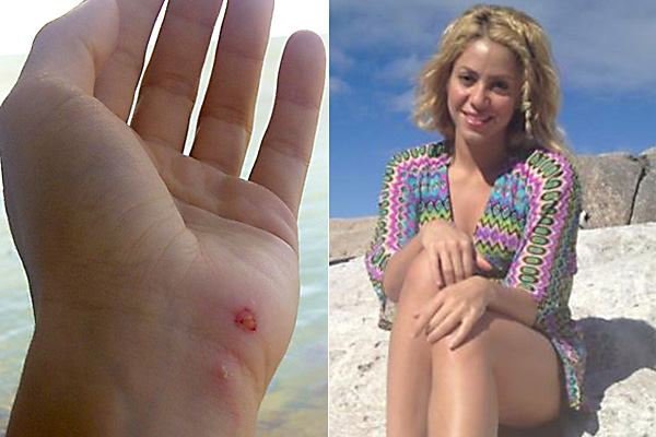 Forrás: facebook.com/shakira Forrás: facebook.com/shakira
