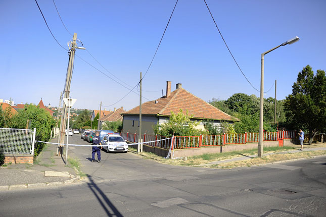 Fot�: Tuba Zolt�n [origo]