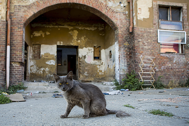 Fot�: Mudra L�szl� [origo]