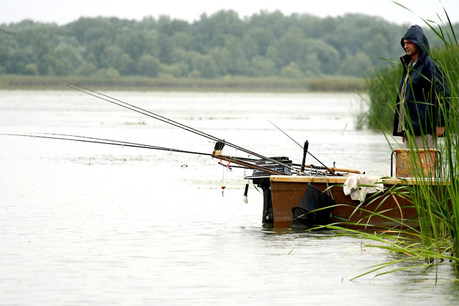 Forrás: MTI/Bugány János Forrás: MTI/Bugány János