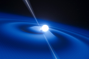 Forr�s: Science